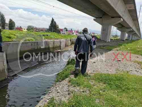 Buscan cocodrilo en canales de San Mateo Atenco tras supuesto avistamiento